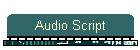 Audio Script